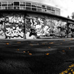 Black and white are also autumns colors